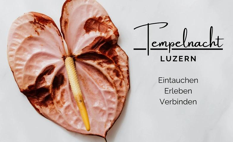 Templenight - ein Raum der Sinnlichkeit