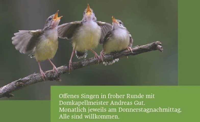 Offenes Singen in froher Runde