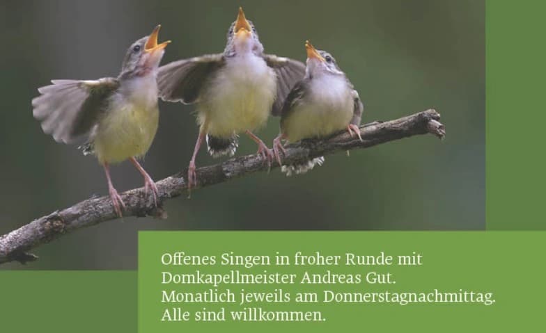 Offenes Singen in froher Runde