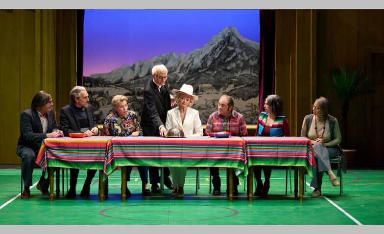 Der Besuch der alten Dame