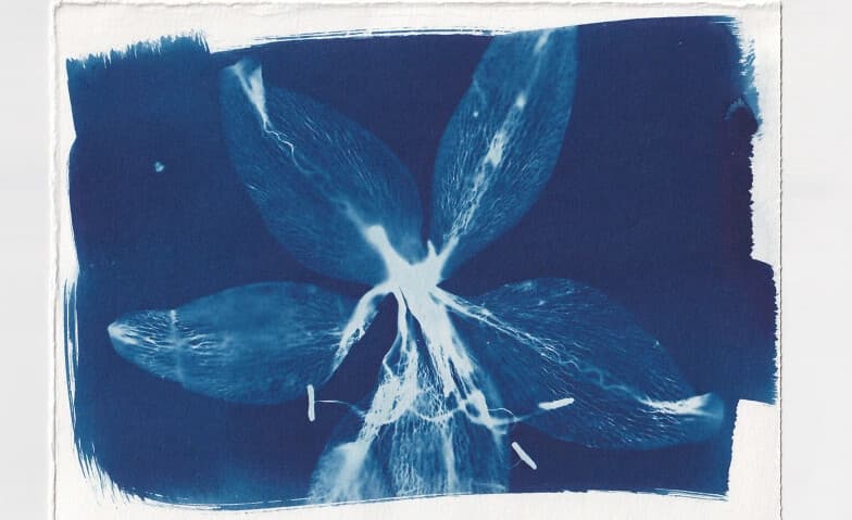 Yoga & Cyanotype