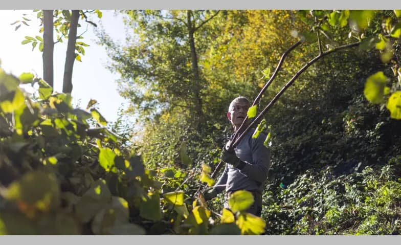 Natur verbindet – Bachpflege im Tal der Demut