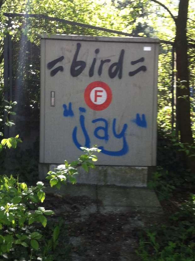 bird graffiti: cris de coeur!