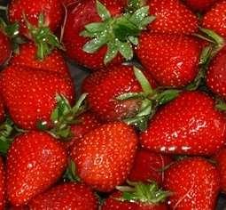 Wo pflückst du deine Beeren?