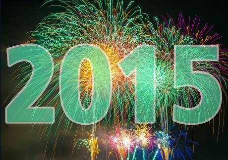 Rons Grosse Jahresendumfrage 2015