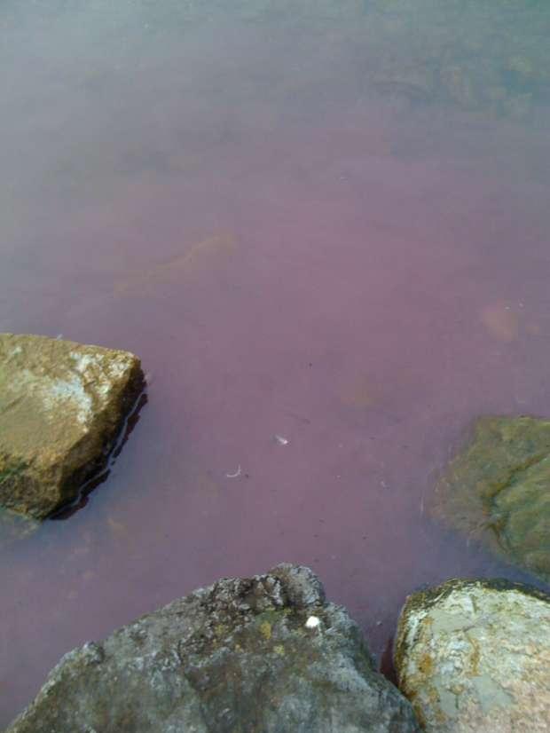 Rotes trübes Wasser im See