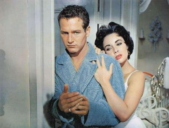 CAT ON A HOT TIN ROOF | Erfrischend schwüles Melodrama, ohne Coming-Out