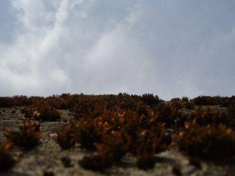 Phototrip image
