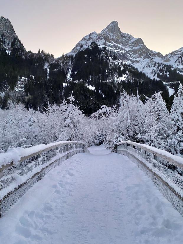 Phototrip image