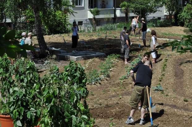 öffentlicher Gemeinschaftsgarten Landhof