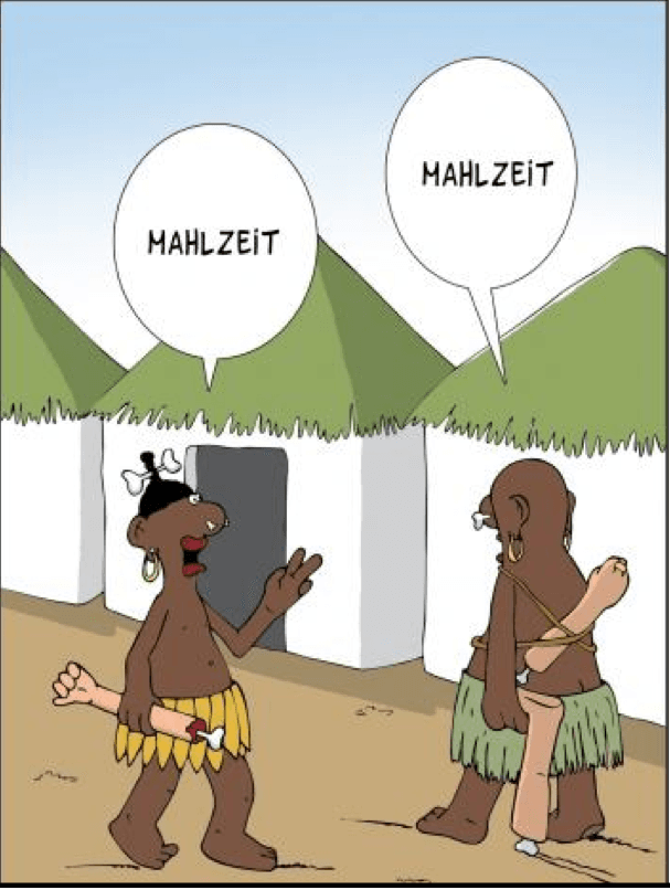 Die vox-Umfrage beweist: Dummheit siegt.