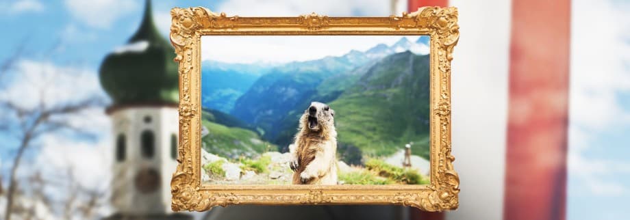 Deine Lesetipps für diese Woche!