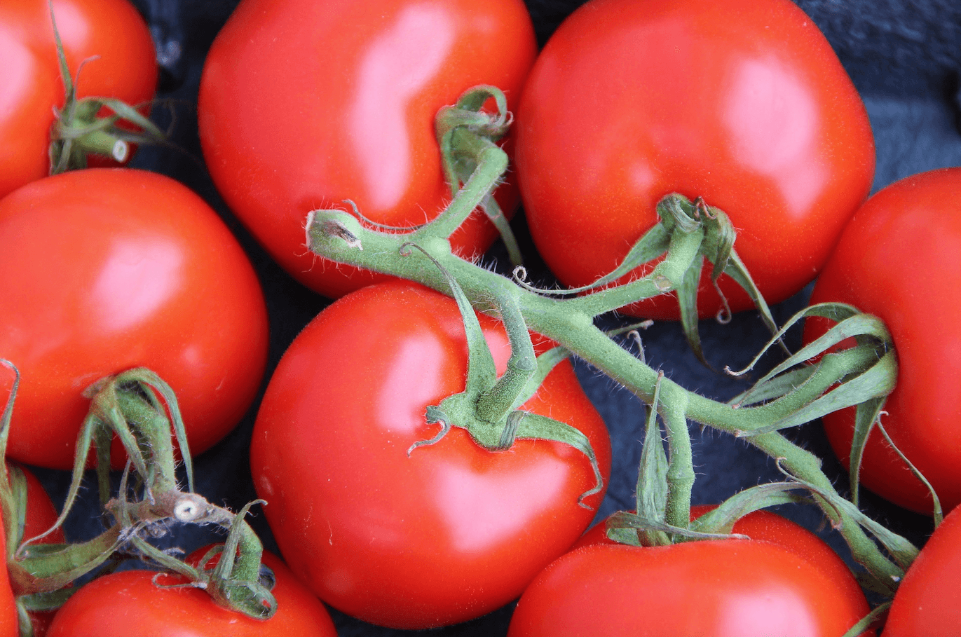 Tomaten-Chutney - PASSEND ZUR TOMATEN-RETTUNGSAKTION