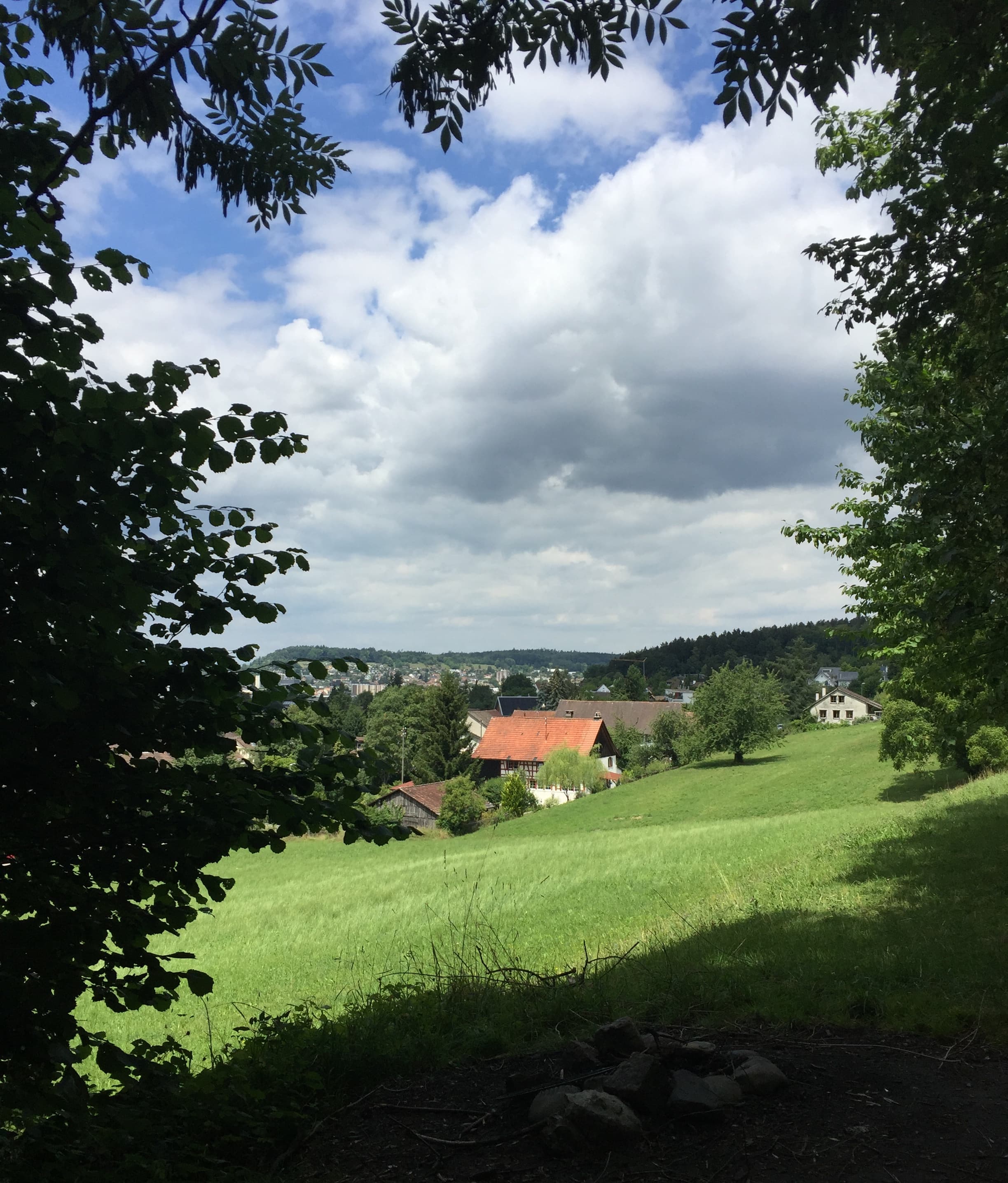Heute hat der alte Kirschenbaum mit mir gesprochen.