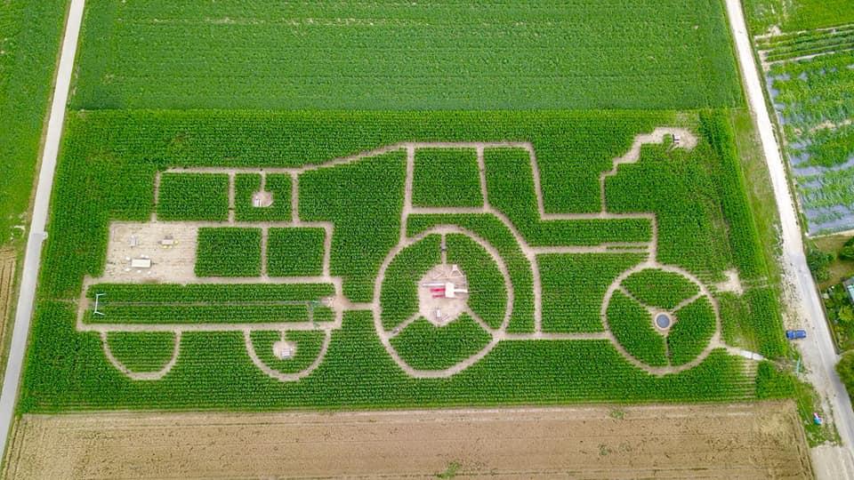 Auf eine Grillade im Maisfeld