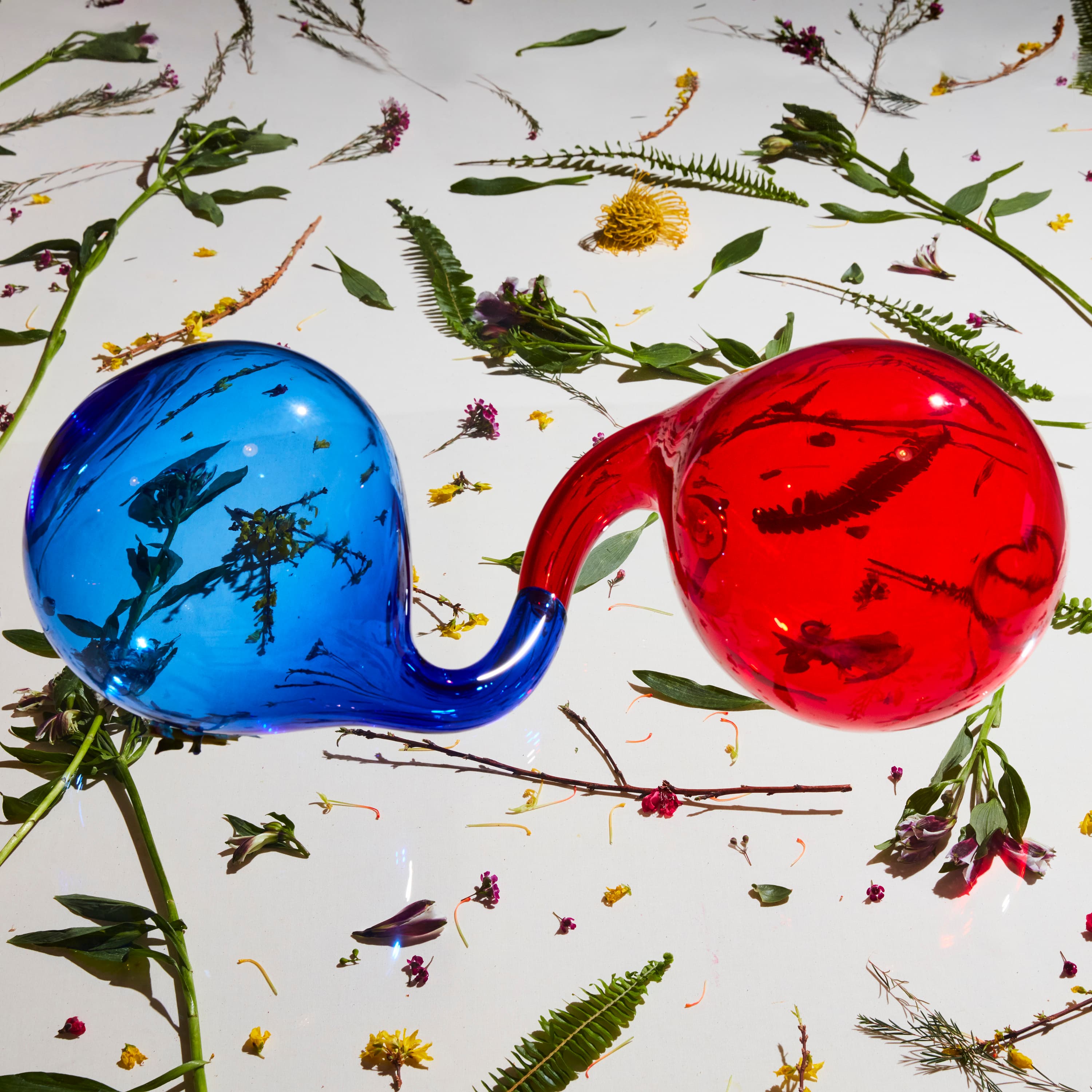 Dirty Projectors’ vocal explosion