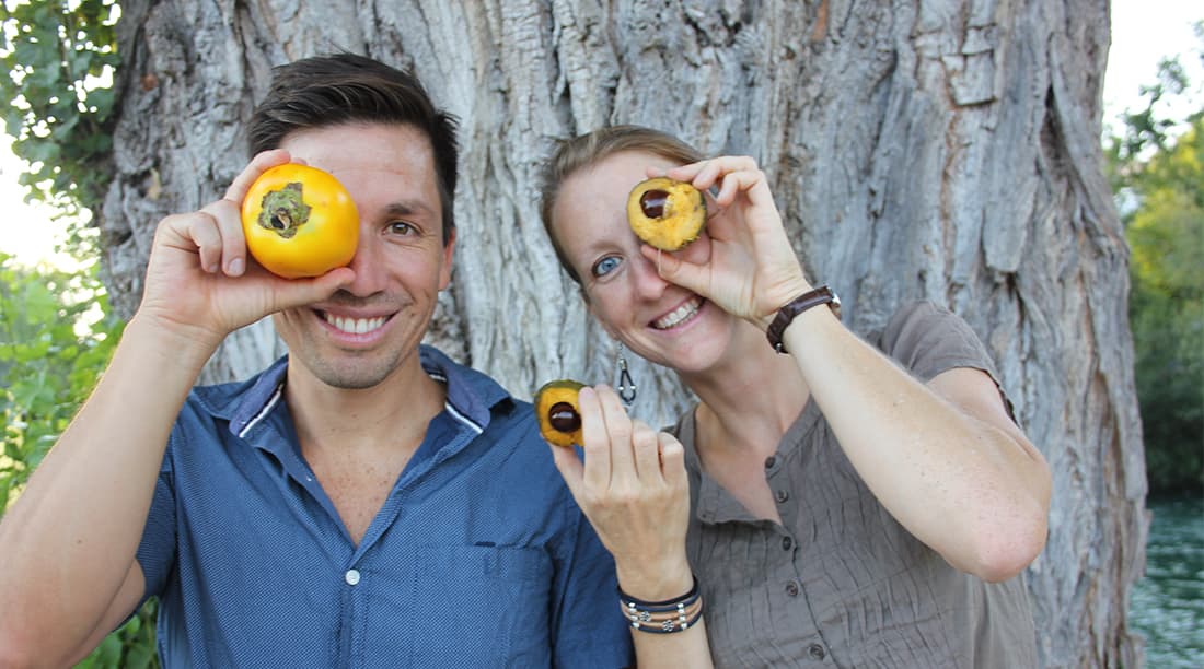 SELVA | Protecting the Amazon rainforest by promoting its tastes