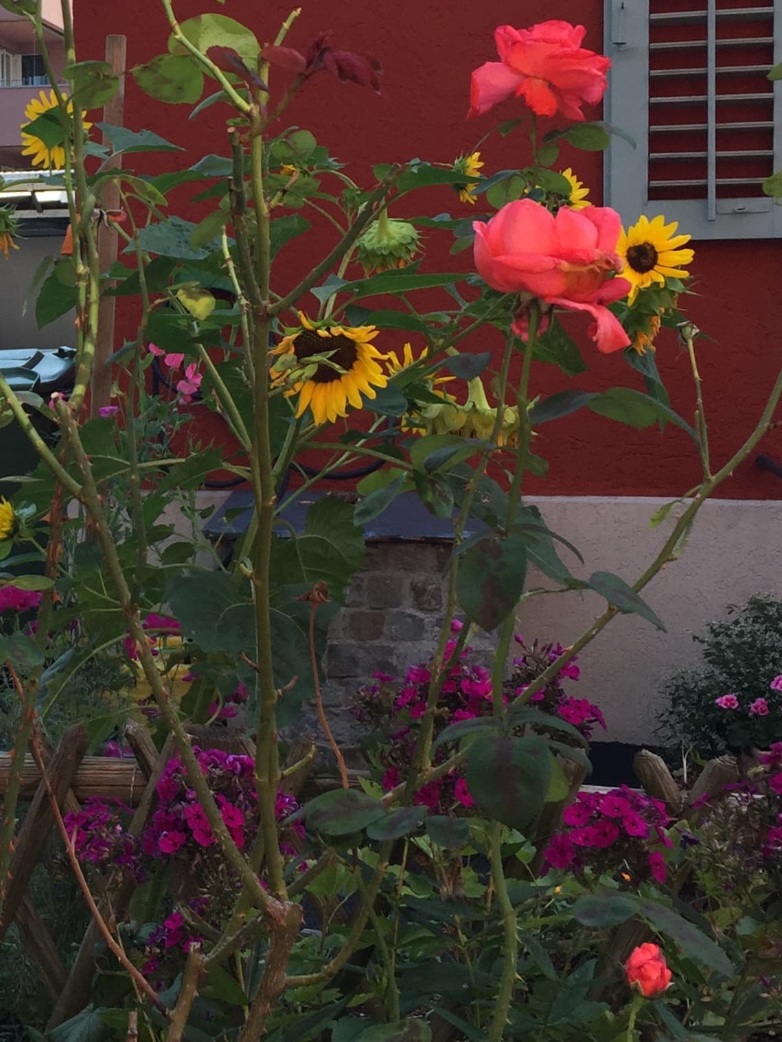 Es wird Herbst und das Leben geht weiter!  (Arbeit, Kultur, Sorgen und Freuden).