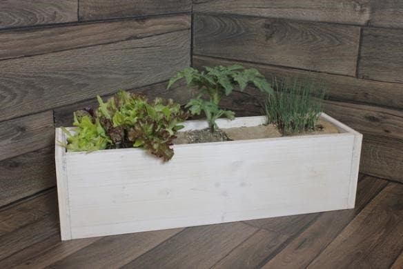Crowdfunding: Gardening for dummies