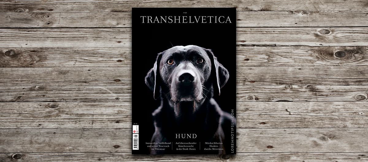 Transhelvetica: Der Hundenase nach