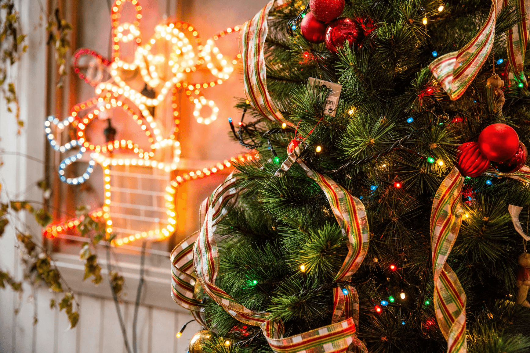 Alle Weihnachtsmärkte 2019