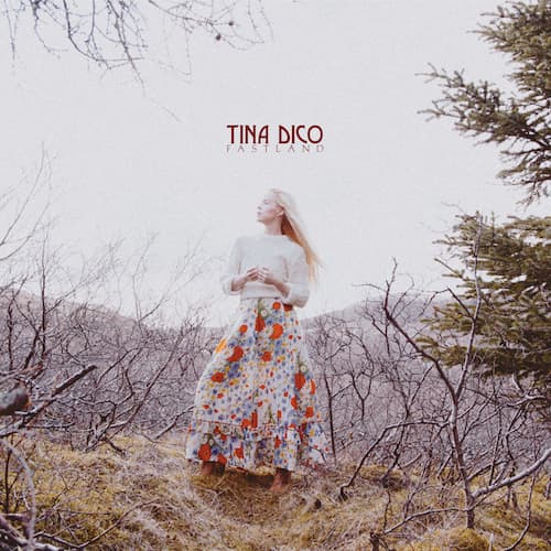 TINA DICO: stimmungsvolle Konzerte im Winter!