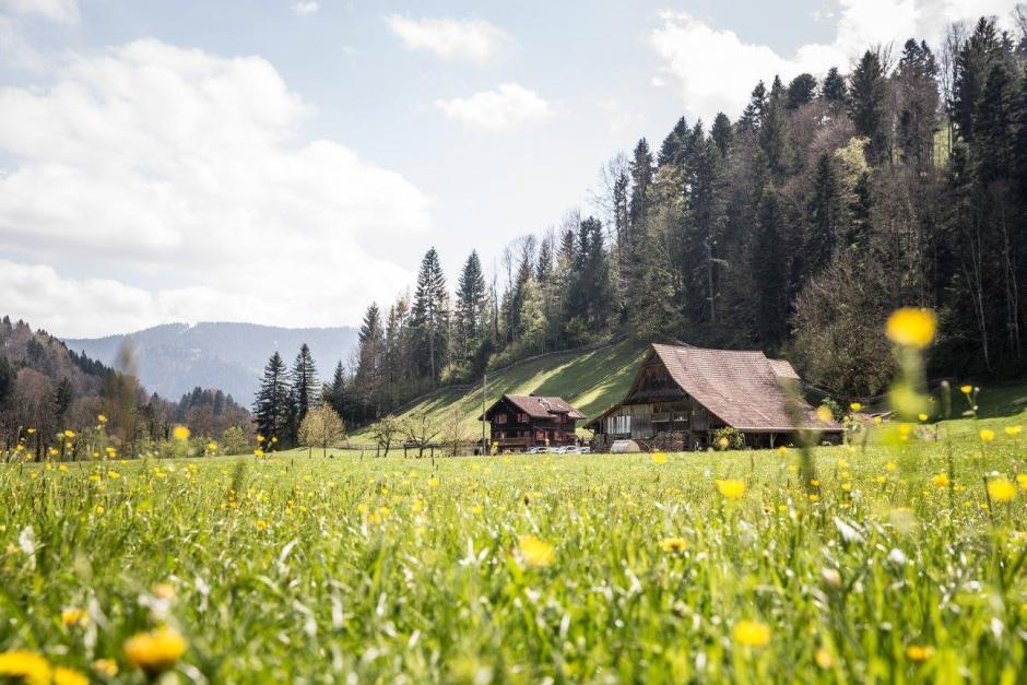 You'd Be Sihly Not To