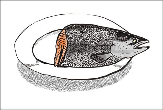 Vom Fischen und Feilschen: Kolumne von Ruth Loosli / Illustration von Monique Stadler