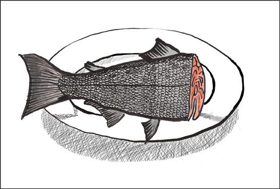 Fisch und Mehl, eine Antwort: Kolumne von Ruth Loosli / Illustration von Monique Stadler