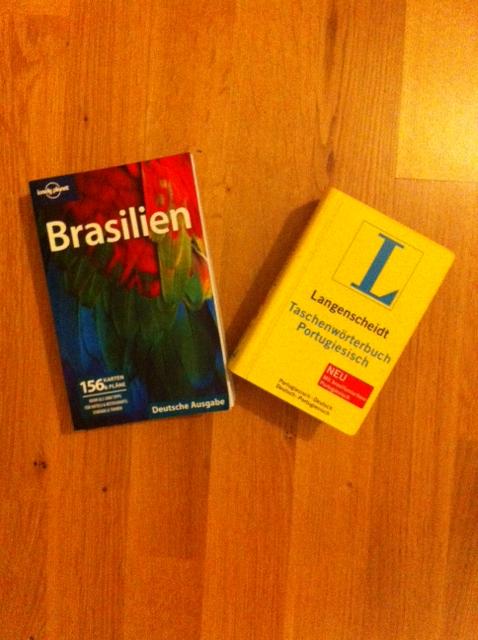 Eine Züri-Tussi in Brasilien, Teil 1: Pronta? Pronta!