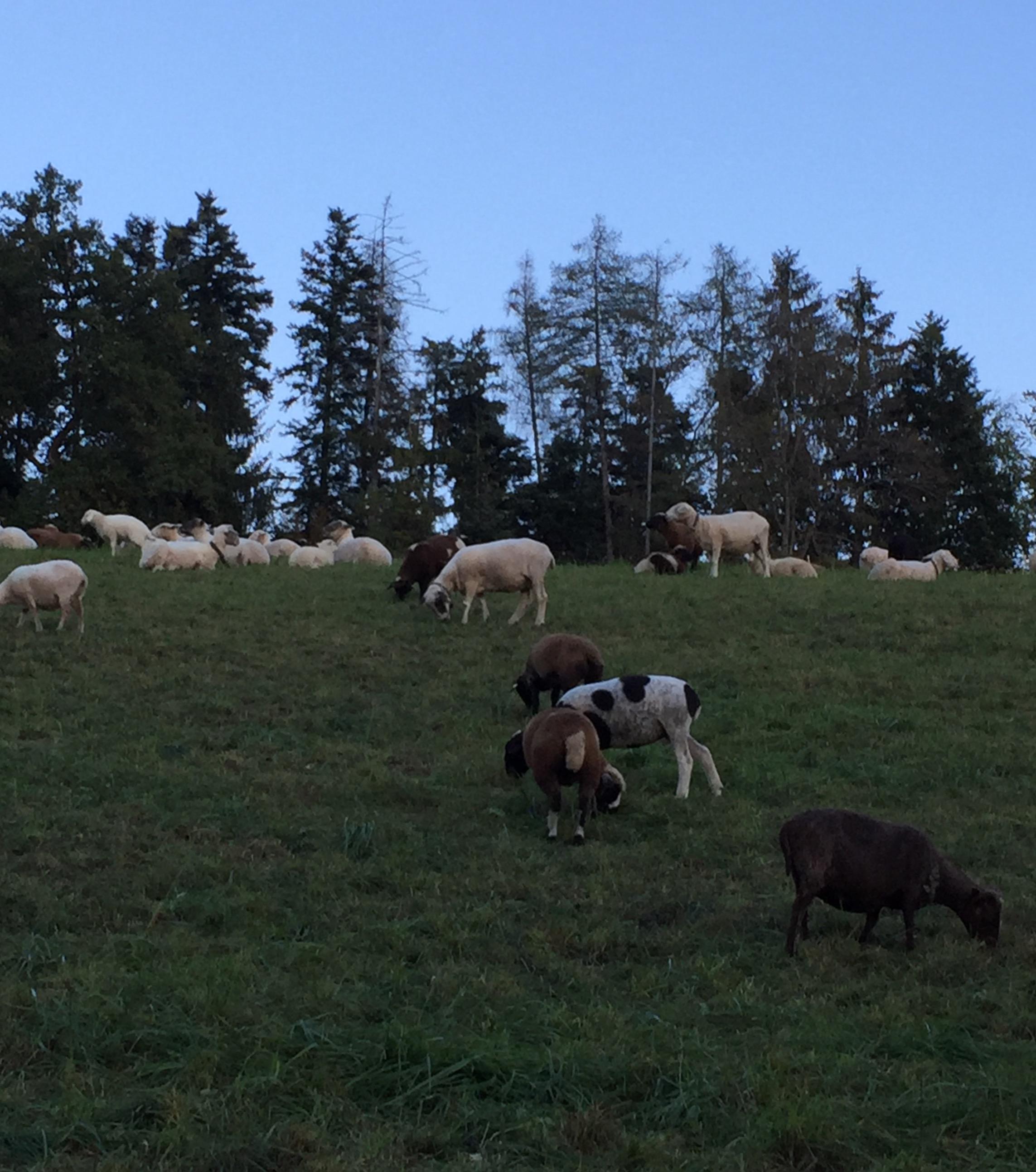 Milchsuppe kochen am Stadelhofen: von Biss & Bass