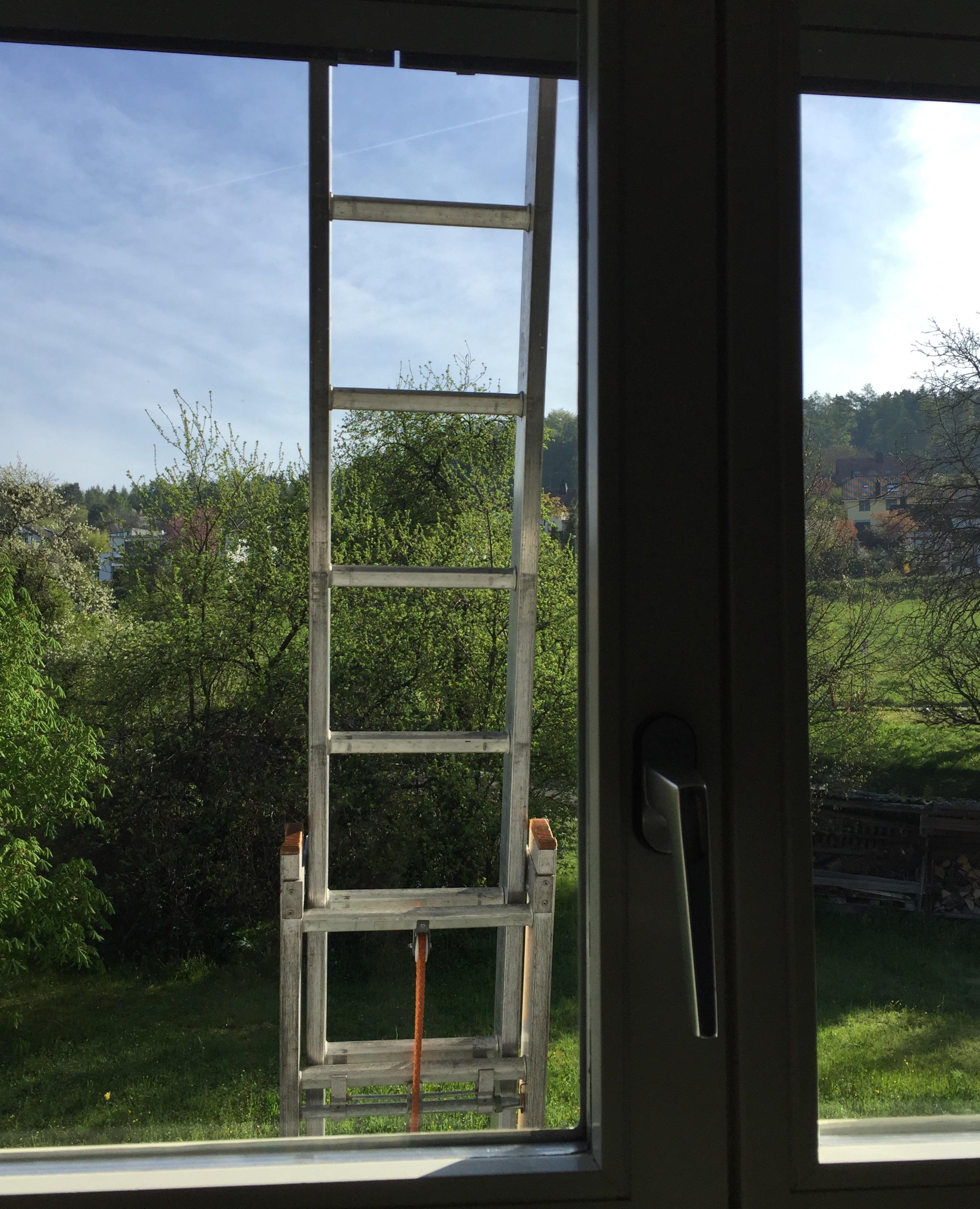 Frühling hoch Ziwi Ziwi!: von Biss & Bass