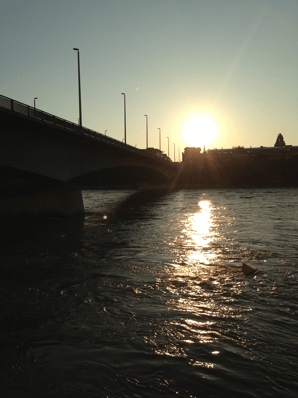 How to: Rheinschwimmen