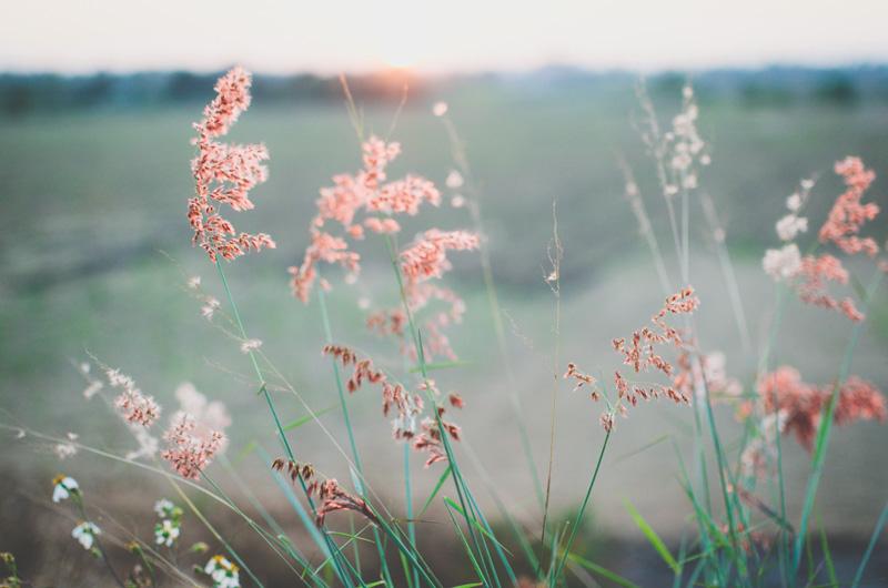 Weil der Sommer so schön war: 5 Fragen & Antworten