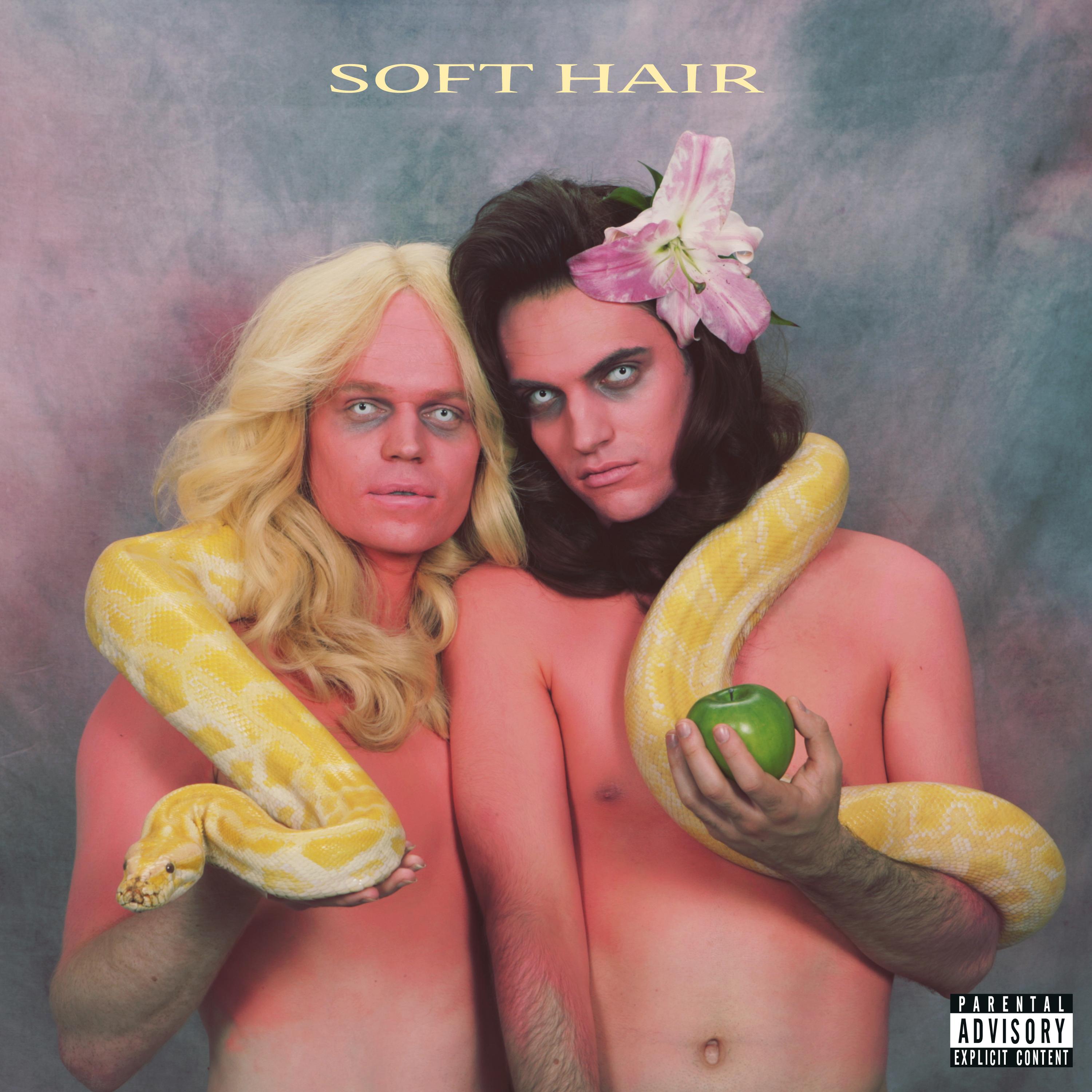 Soft Hair – die «Hairlichkeit» der Anomalie