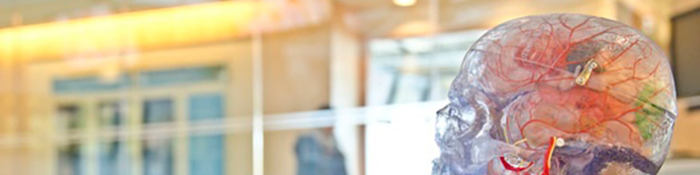 e-braininjury | Unternehmertum als Wissenschaft