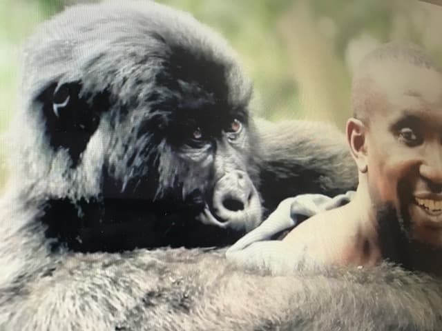 Virunga: Der etwas andere Dokumentarfilm