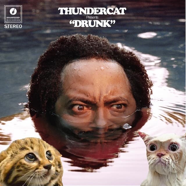STUDIO GDS PRÄSENTIERT THUNDERCAT - DRUNK