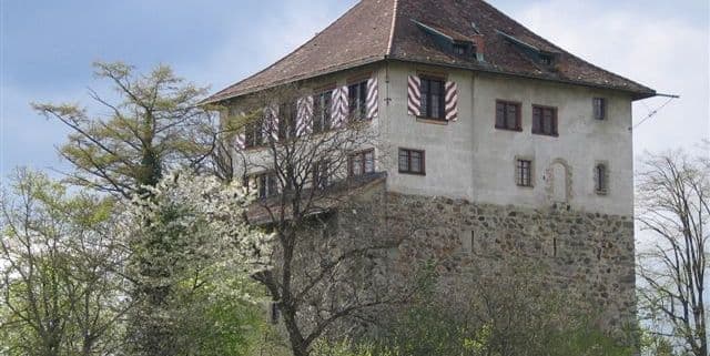 Viele Gründe für ein Ziel