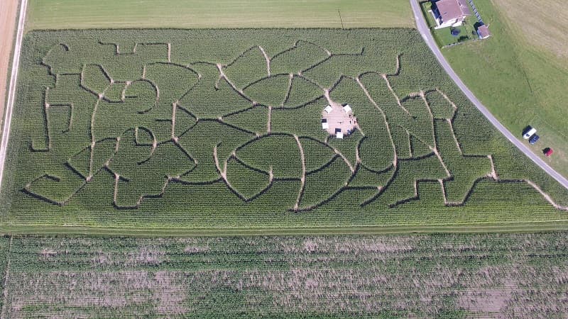 Sauras-tu t'échapper d'un labyrinthe géant?