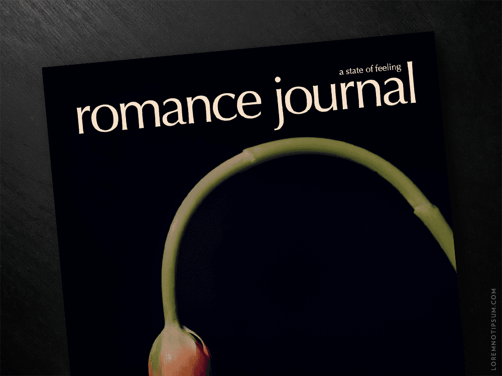 Romance Journal: Kunst im Grossformat