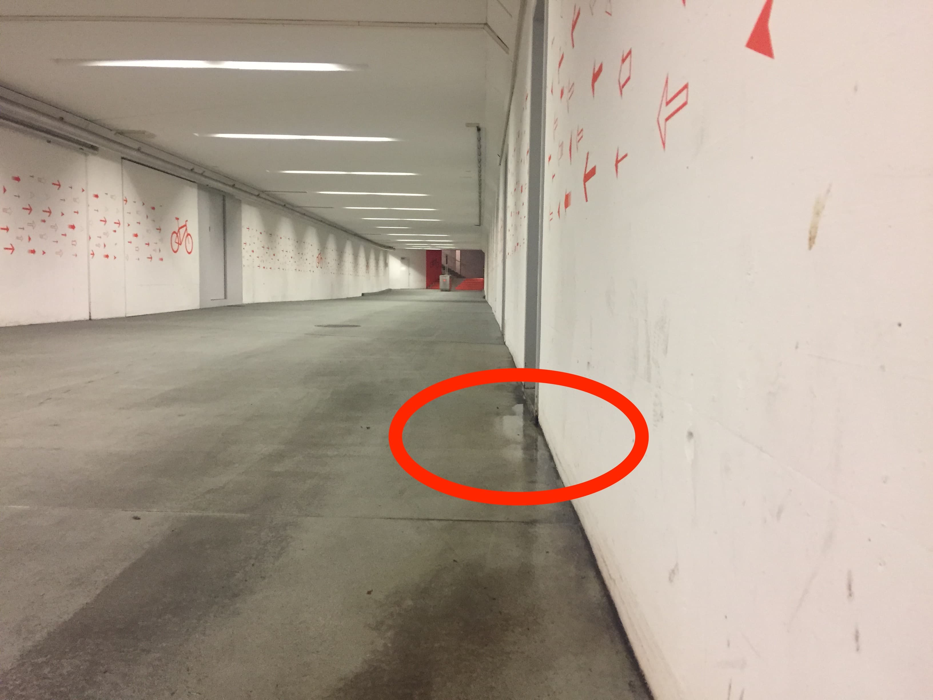 Warum stinkt es da seit Jahren?