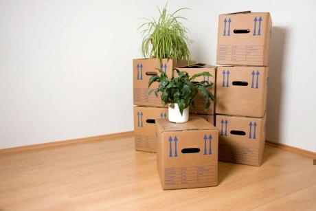 UMZÜGE, ZÜGELHILFE, TRANSPORTE, ENTSORGUNGEN, HANDWERKERARBEITEN - 1