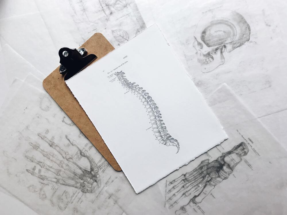 Manualtherapie Studienzirkel in Zürich - 1