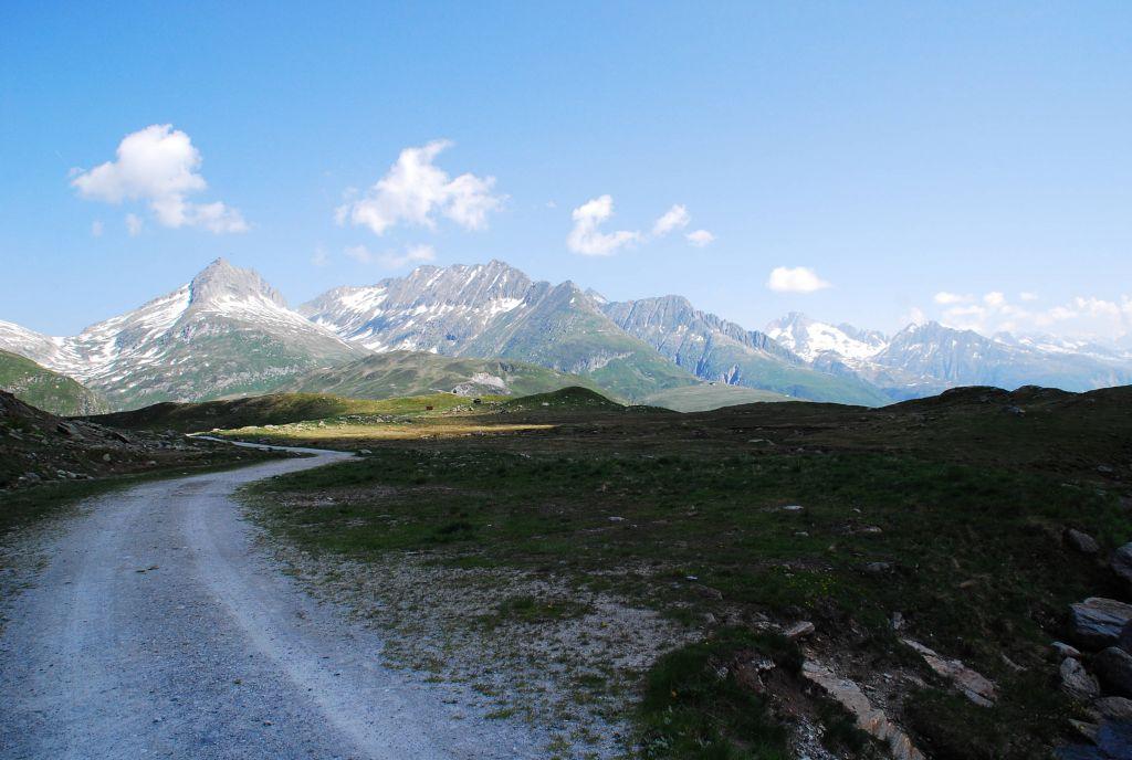 Profile image of - Snook