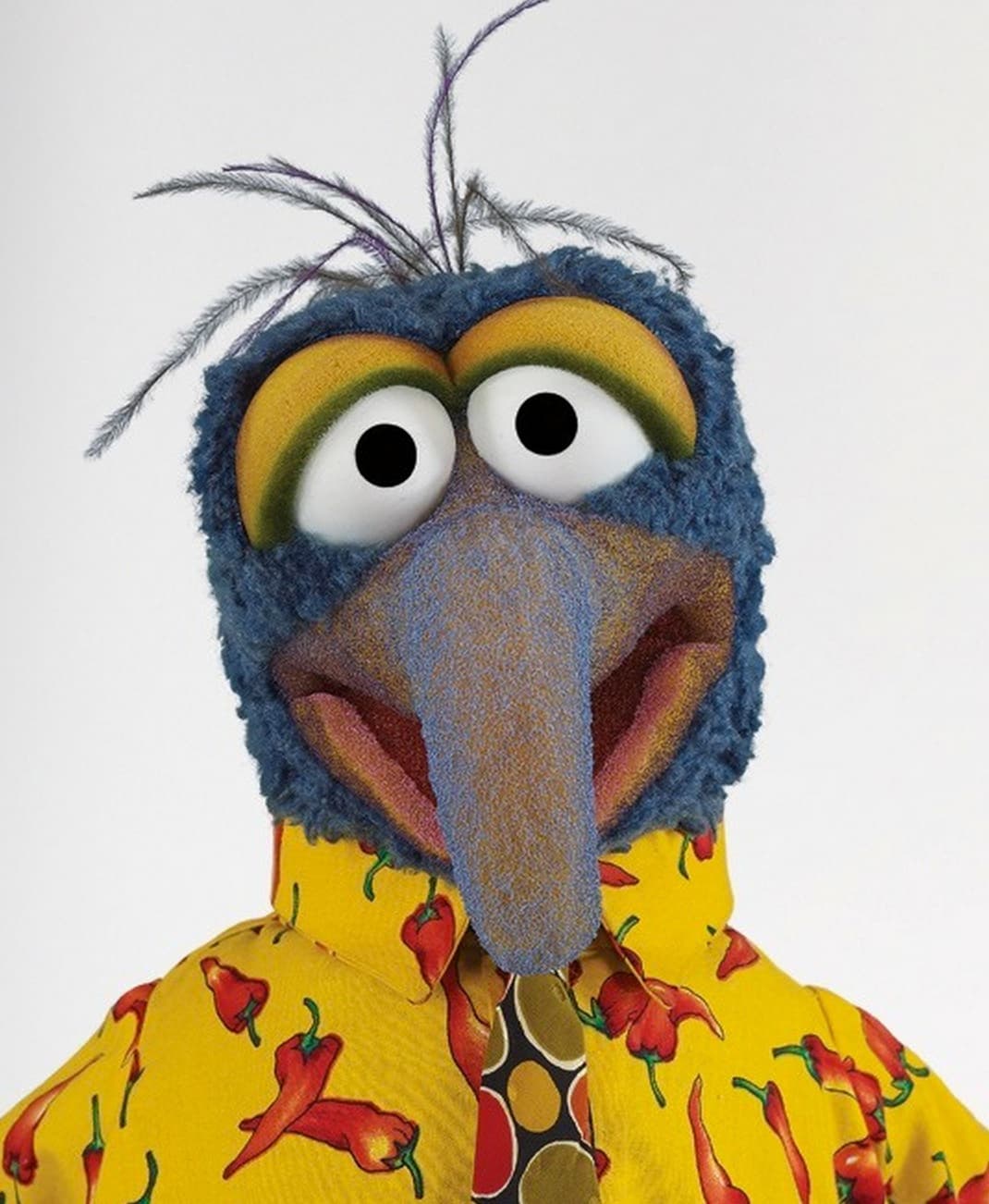 Profile image of - Aldo Gonzo