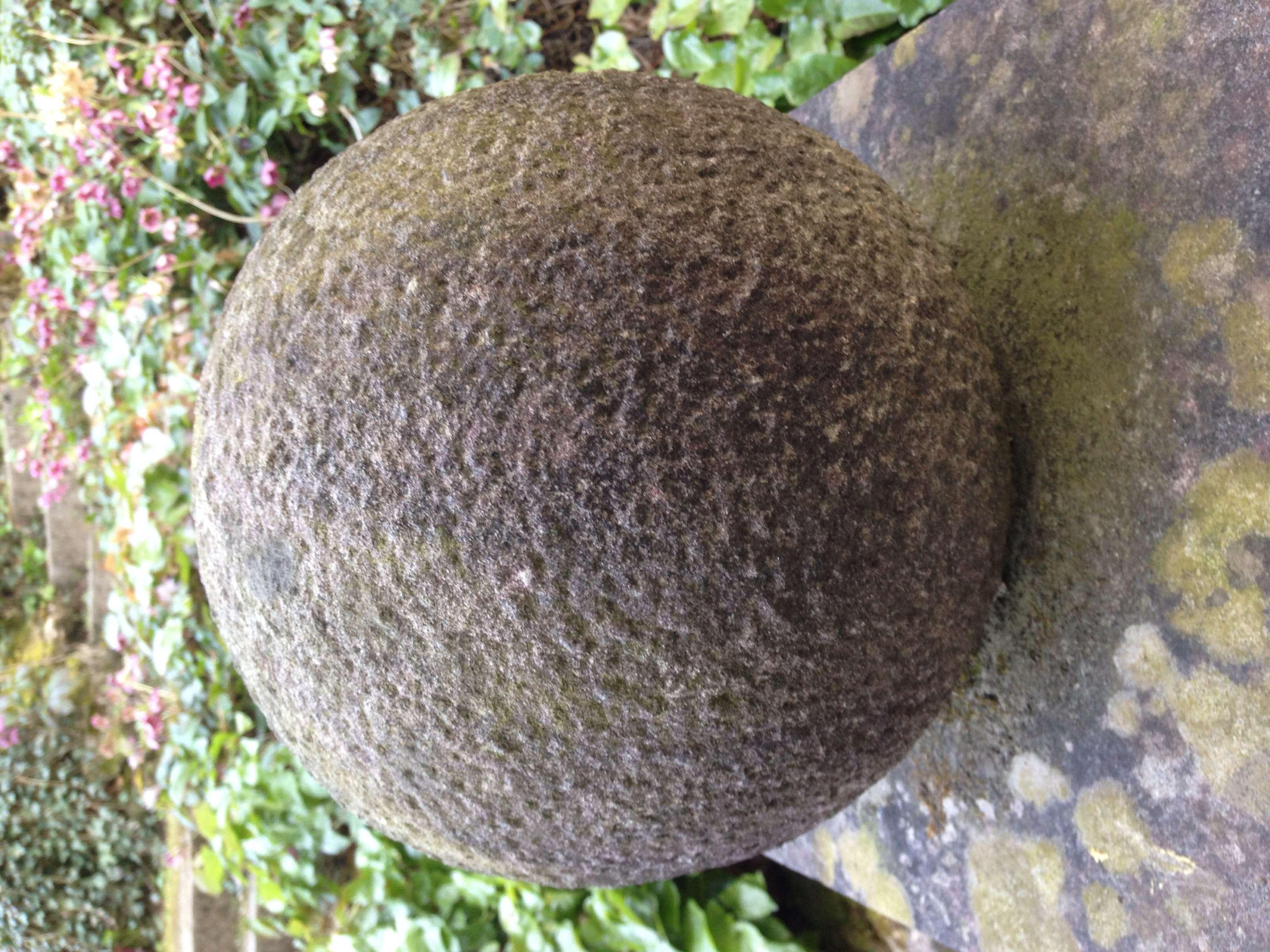 Profile image of - c.