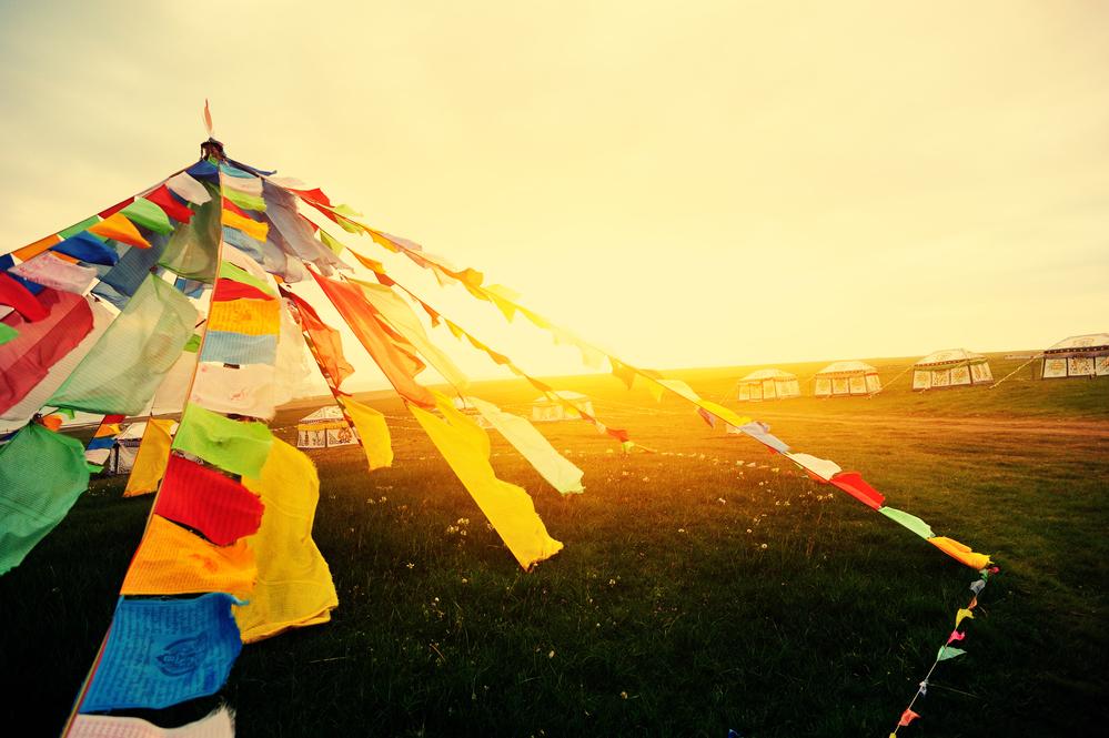 Profile image of - Ayurfood.ch