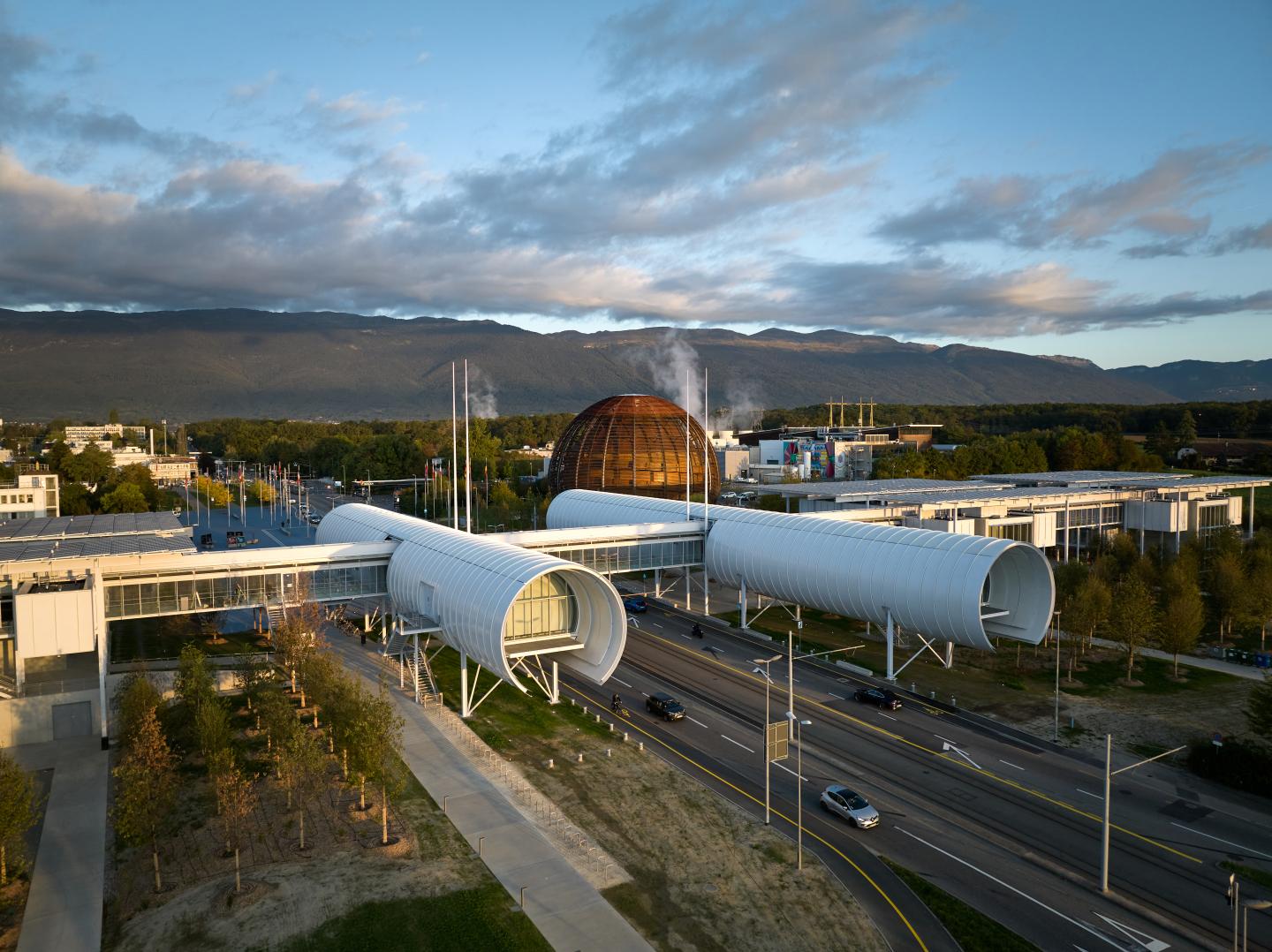 Profile image of - CERN