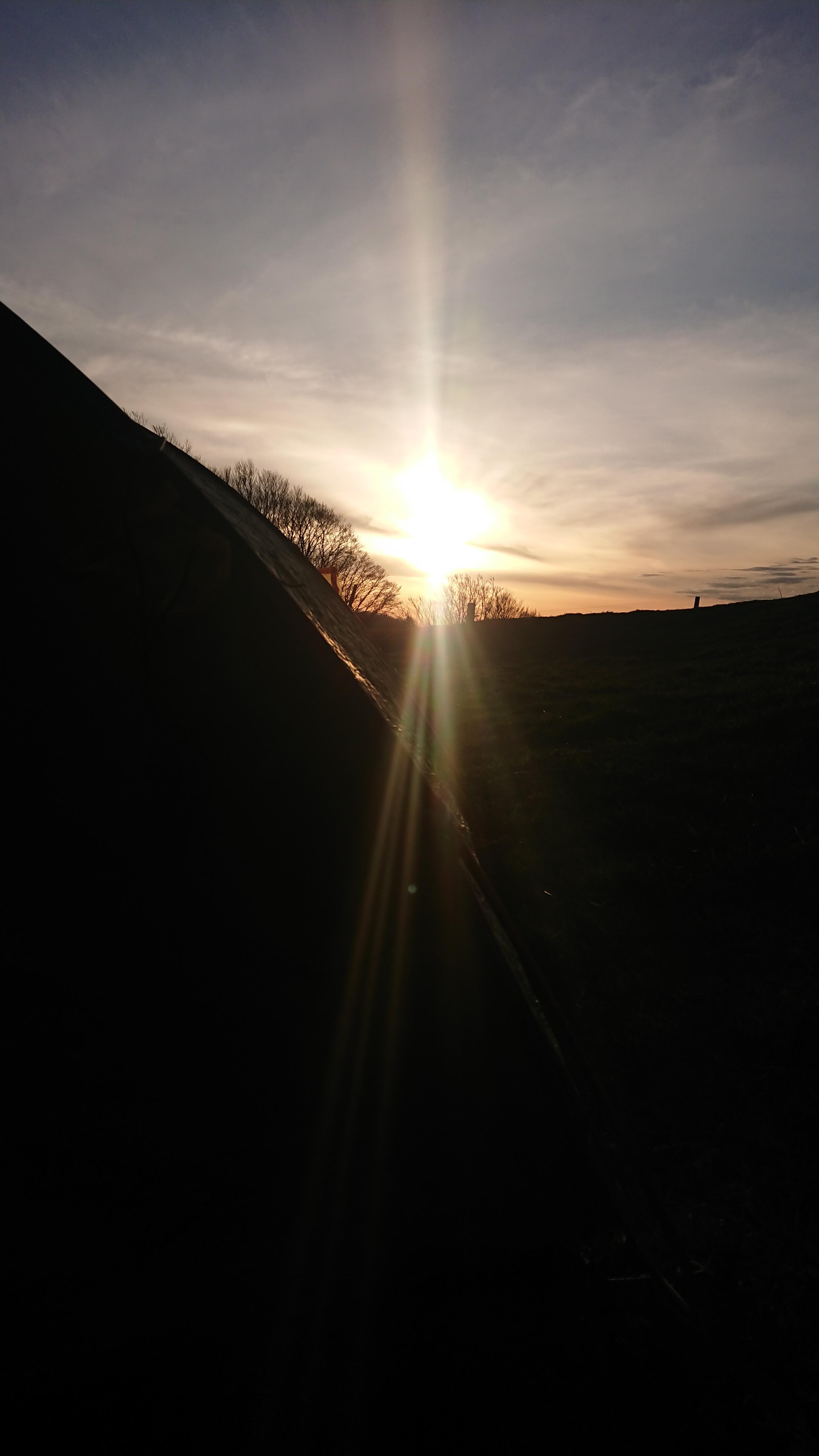 Profile image of - suneshi